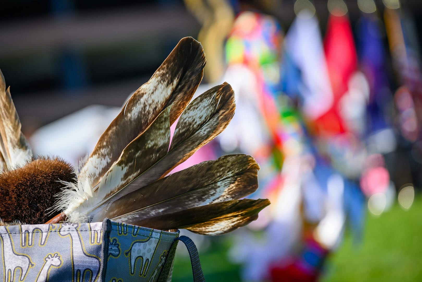 Providing Tuition Assistance to Native American Students